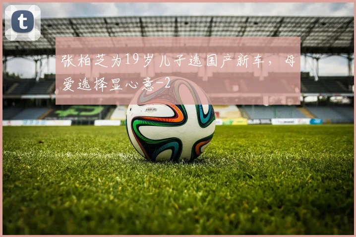 张柏芝为19岁儿子选国产新车，母爱选择显心意