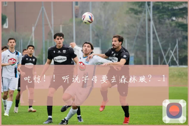 吃惊！！听说字母要去森林狼？_1