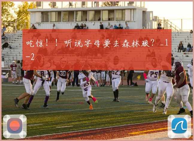 吃惊！！听说字母要去森林狼？_1