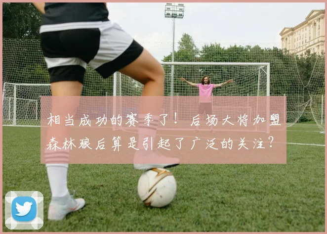 相当成功的赛季了！后场大将加盟森林狼后算是引起了广泛的关注？