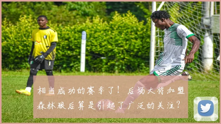 相当成功的赛季了！后场大将加盟森林狼后算是引起了广泛的关注？
